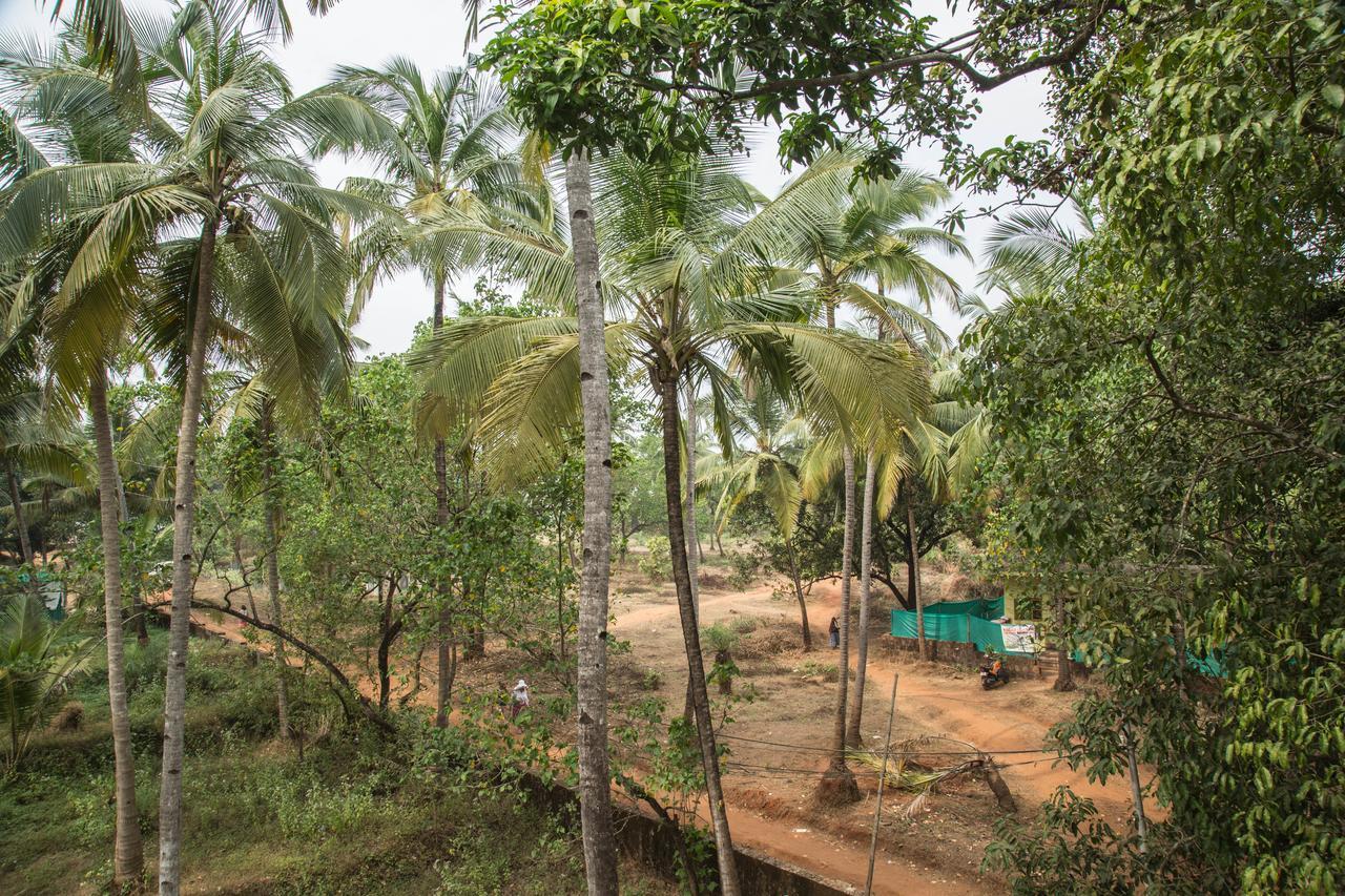 Hotel Arambol Arbour Exterior photo